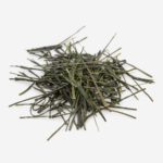 Dento Hon Gyokuro Kirari 31