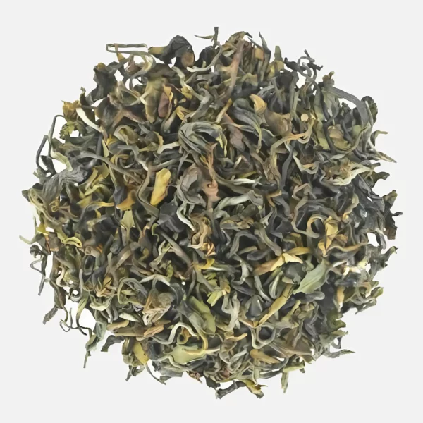 Rohini Jethikupi White