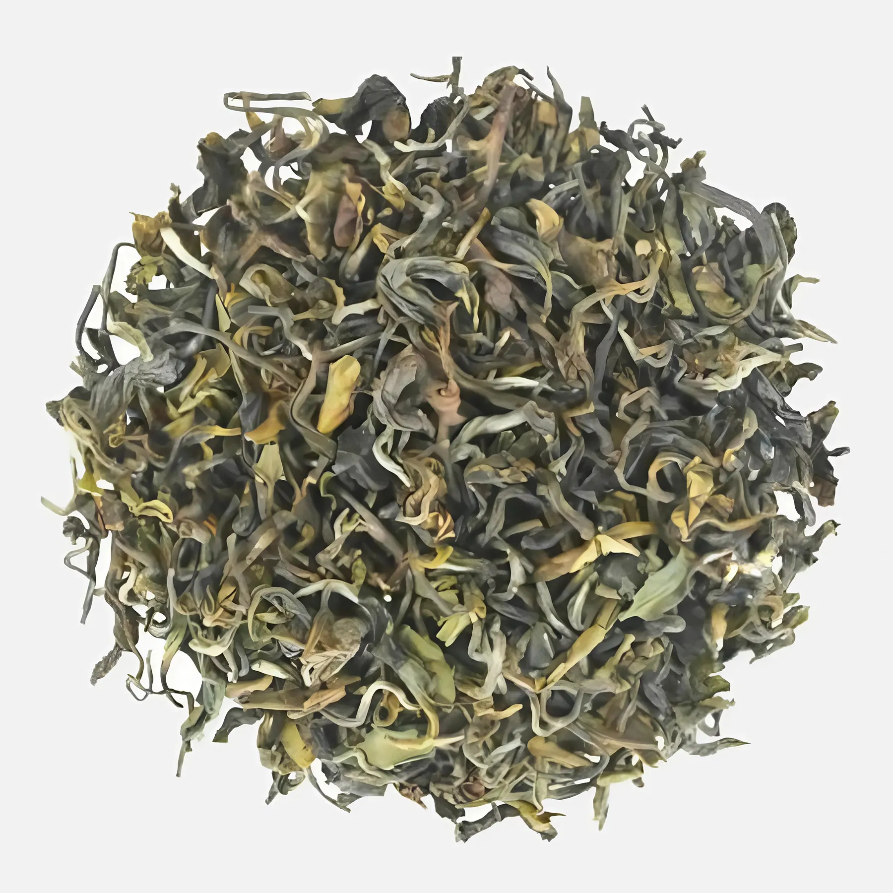 Rohini Jethikupi White