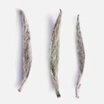 Fuding Style Baihao Yinzhen