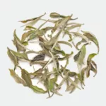 Zhenghe Style Bai Mudan