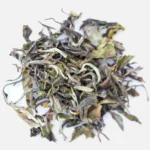 Rohini Emperor Choice White