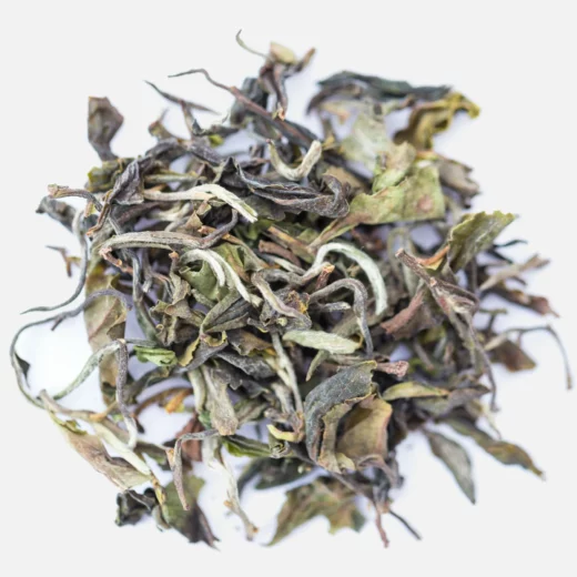 Rohini Emperor Choice White