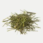 Weisser Sencha Hakusei