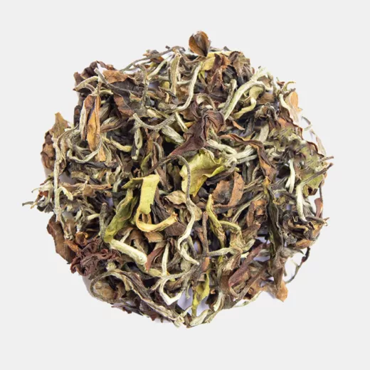 Silver Tip Oolong