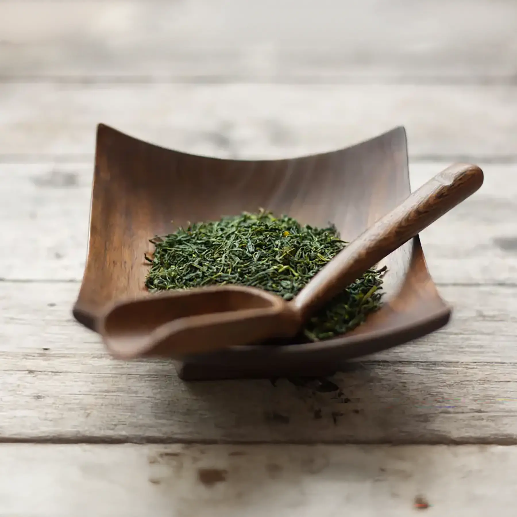 Shimbara Premium Bio Tamaryokucha – Bild 2