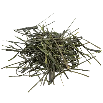 Product Category Image